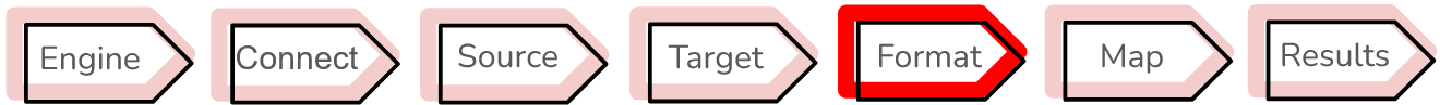 The next step in the wizard is to configure your data format.